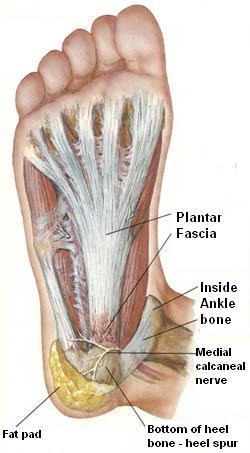 Napervillechiropractor VictoryRehabplantarfasciitis