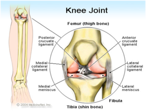 VictoryRehabNapervilleChiropractorknee